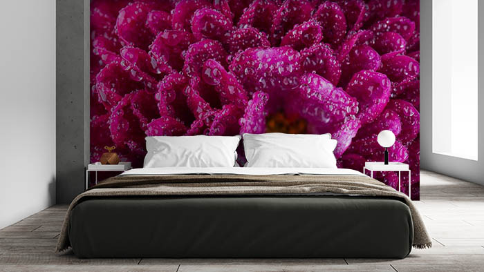 Dew on Red Flowers Wallpaper Mural